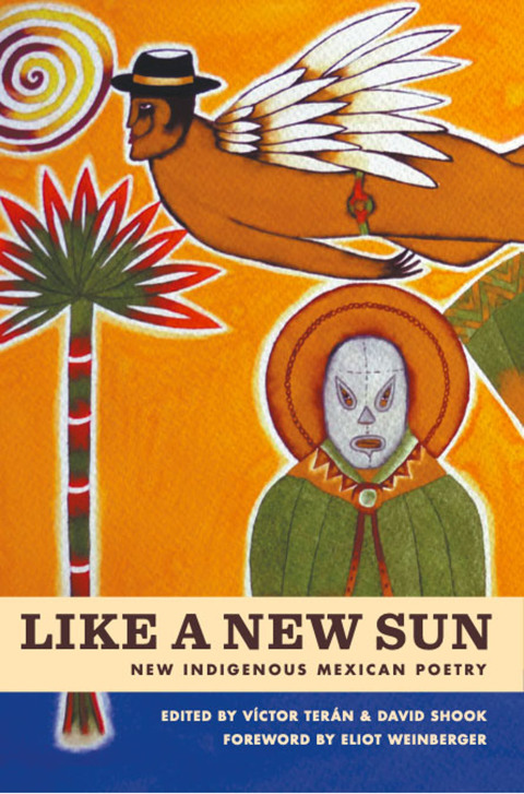 Cover image for book Like A New Sun
