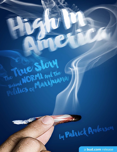 Cover image for book High in America