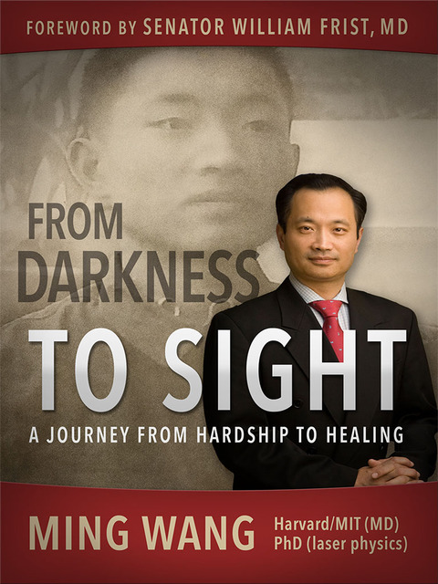 Cover image for book From Darkness to Sight