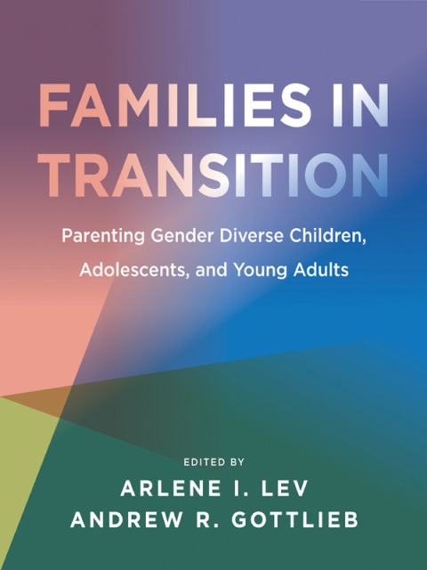 Cover image for book Families in Transition