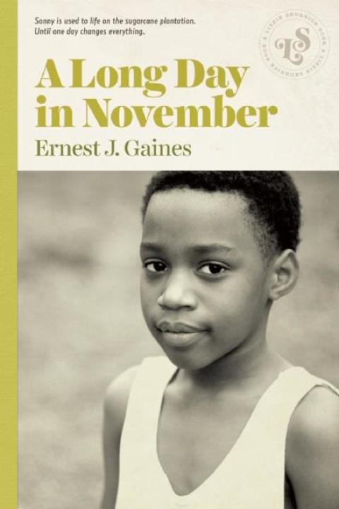 Cover image for book A Long Day in November