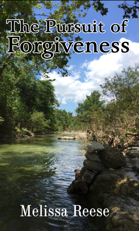 Cover image for book The Pursuit of Forgiveness