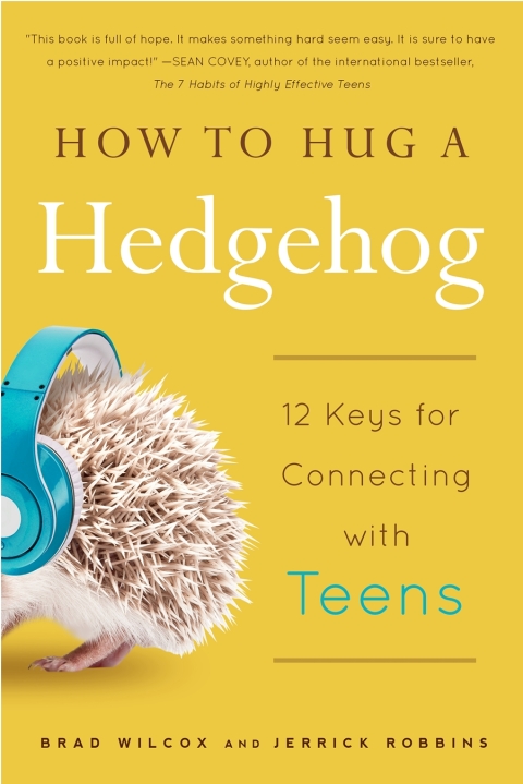 Cover image for book How to Hug a Hedgehog