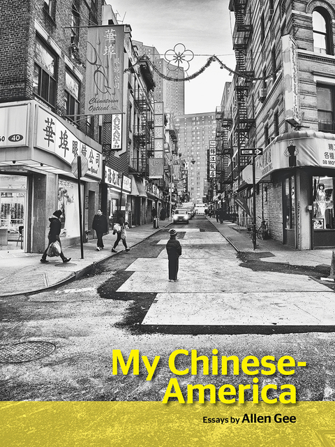 Cover image for book My Chinese-America