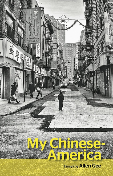 Cover image for book My Chinese-America