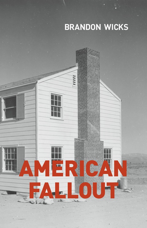 Cover image for book American Fallout