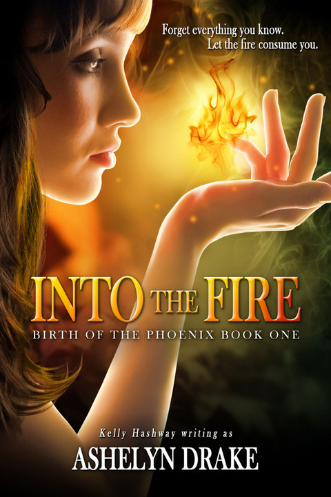 Cover image for book Into The Fire