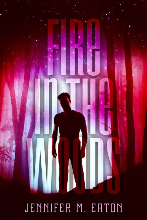 Cover image for book Fire in the Woods