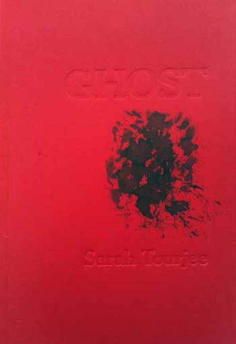 Cover image for book Ghost