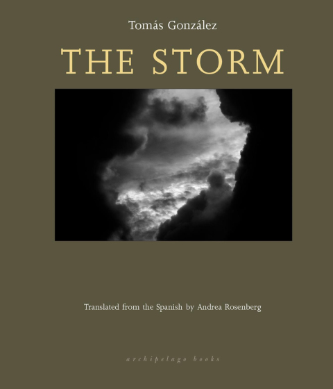 Cover image for book The Storm
