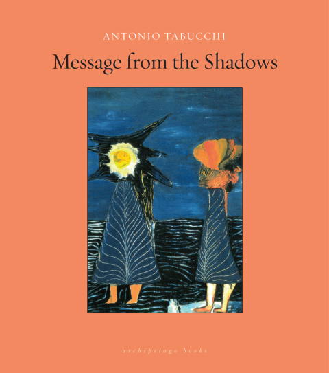 Cover image for book Message from the Shadows