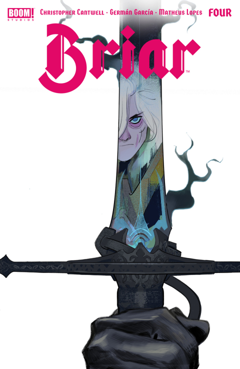 Cover image for book Briar #4