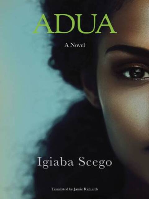 Cover image for book Adua
