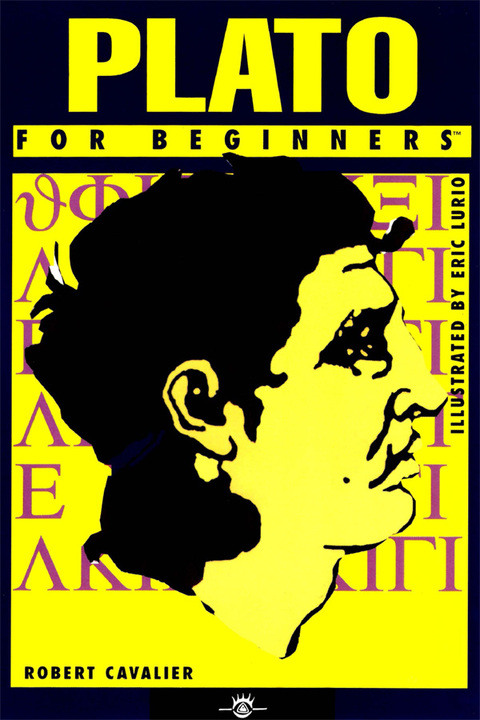 Plato For Beginners 