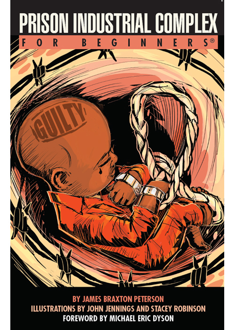 Cover image for book Prison Industrial Complex For Beginners