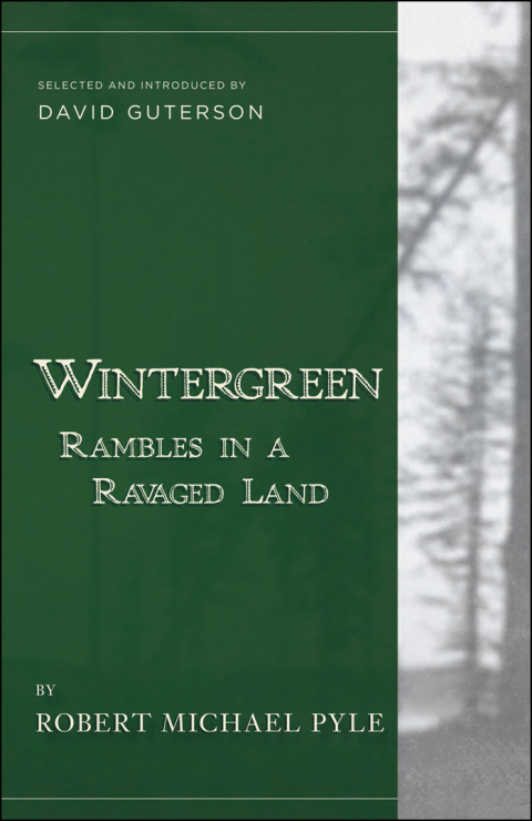 Cover image for book Wintergreen