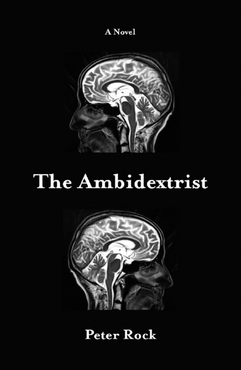 Cover image for book The Ambidextrist