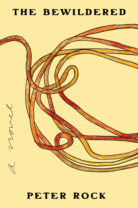 Cover image for book The Bewildered