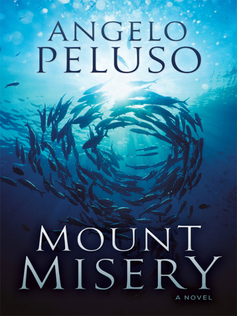 Cover image for book Mount Misery
