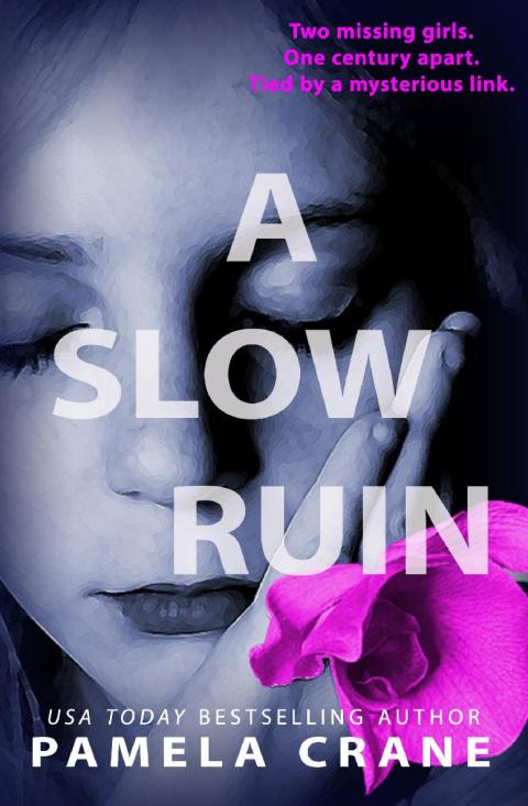 Cover image for book A Slow Ruin