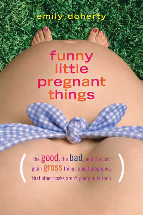 Cover image for book Funny Little Pregnant Things