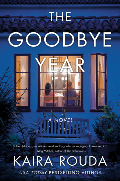 Cover image for book The Goodbye Year