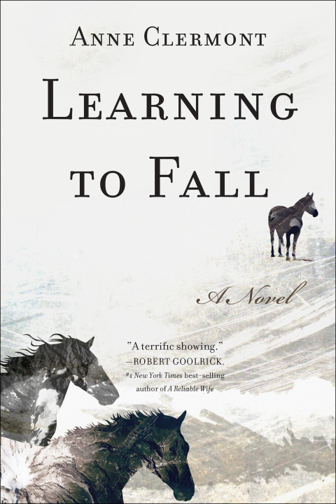 Cover image for book Learning to Fall