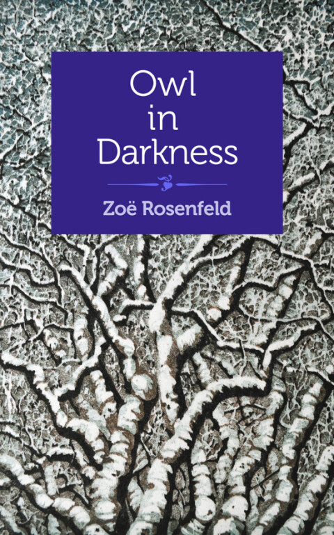 Cover image for book Owl in Darkness
