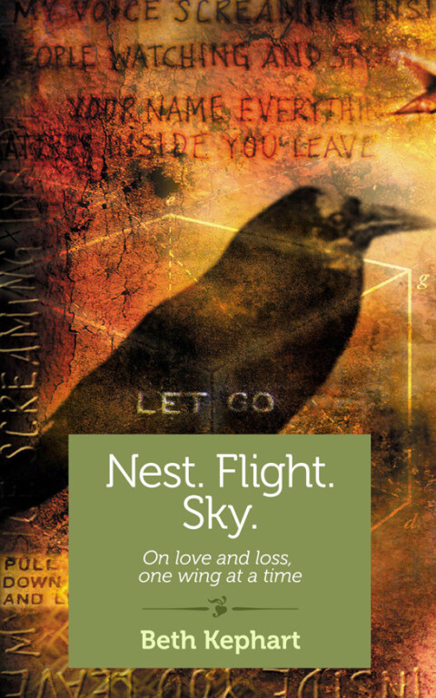 Cover image for book Nest. Flight. Sky.