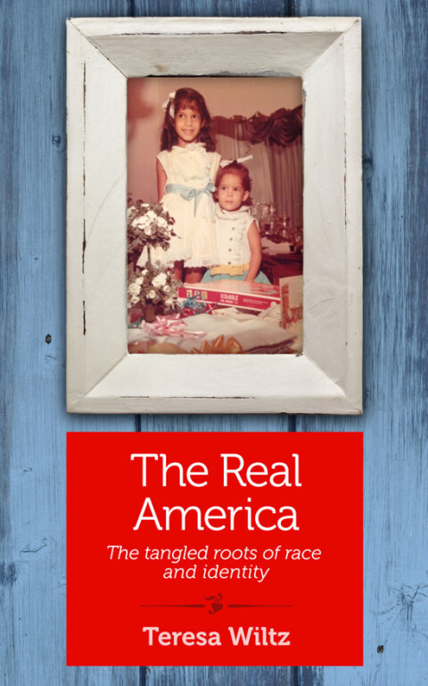 Cover image for book The Real America
