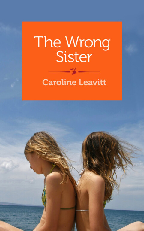 Cover image for book The Wrong Sister