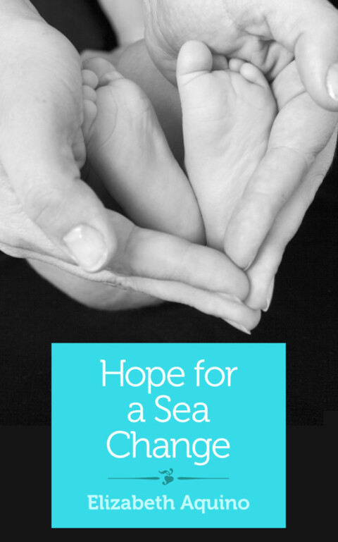 Cover image for book Hope for a Sea Change