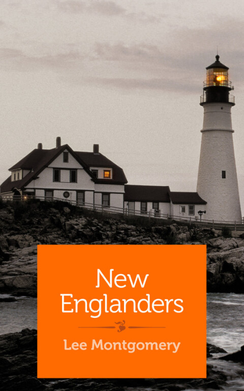 Cover image for book New Englanders