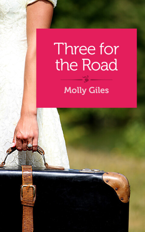 Cover image for book Three for the Road