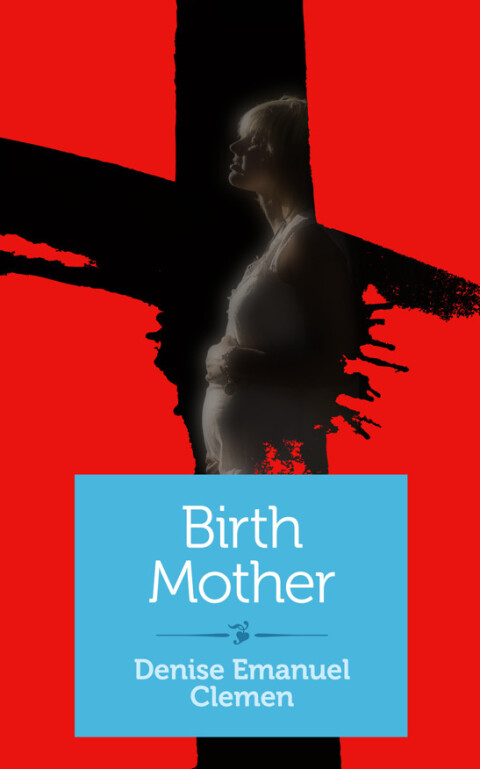 Cover image for book Birth Mother