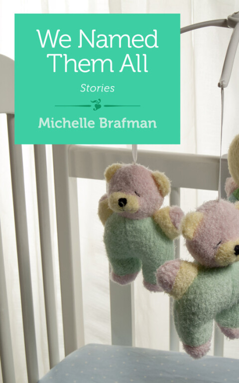 Cover image for book We Named Them All