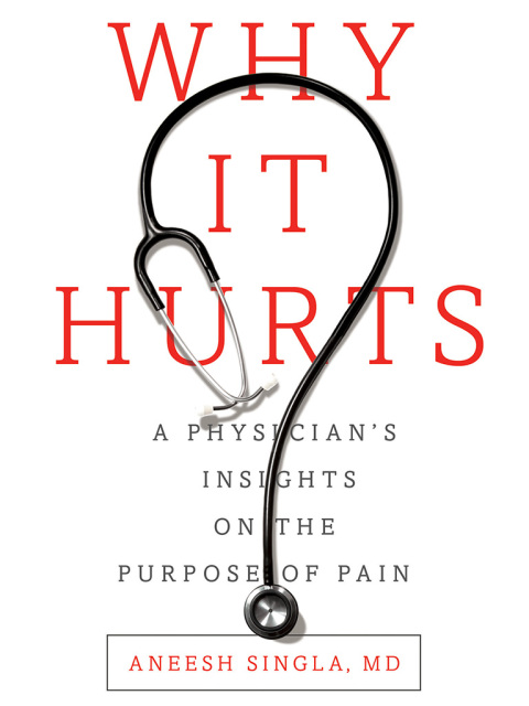 Cover image for book Why It Hurts
