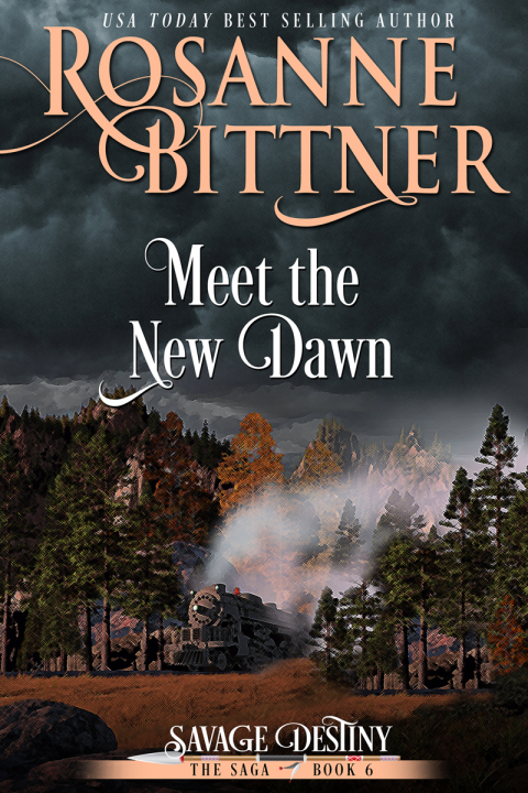 Cover image for book Meet the New Dawn