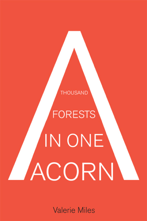 Cover image for book A Thousand Forests in One Acorn