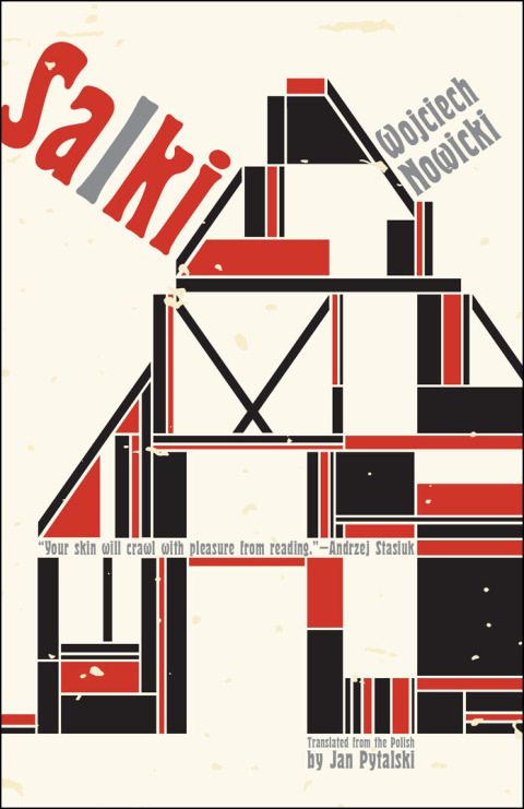 Cover image for book Salki