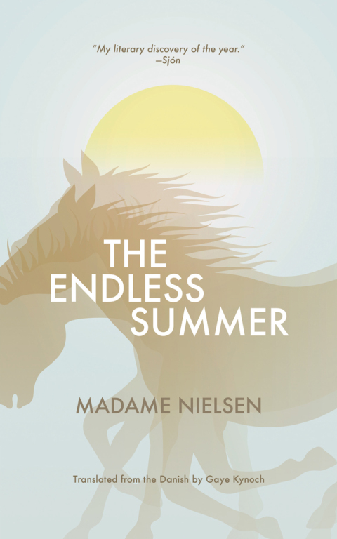 Cover image for book The Endless Summer