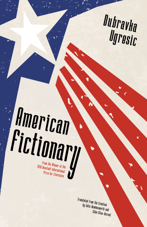 Cover image for book American Fictionary
