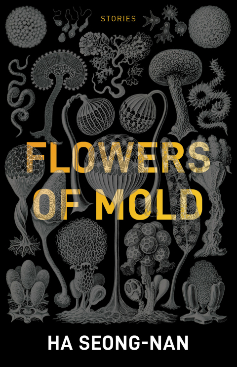 Cover image for book Flowers of Mold & Other Stories