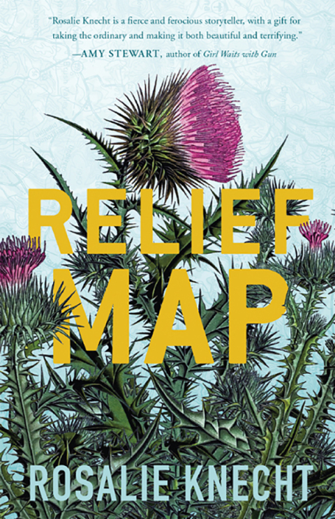 Cover image for book Relief Map