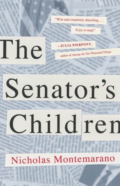 Cover image for book The Senator's Children