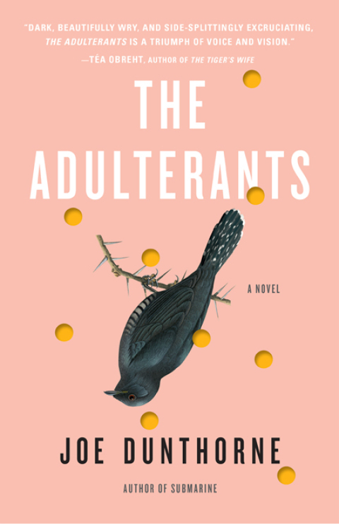 Cover image for book The Adulterants