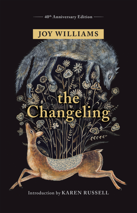 Cover image for book The Changeling