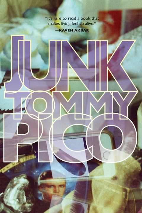 Cover image for book Junk
