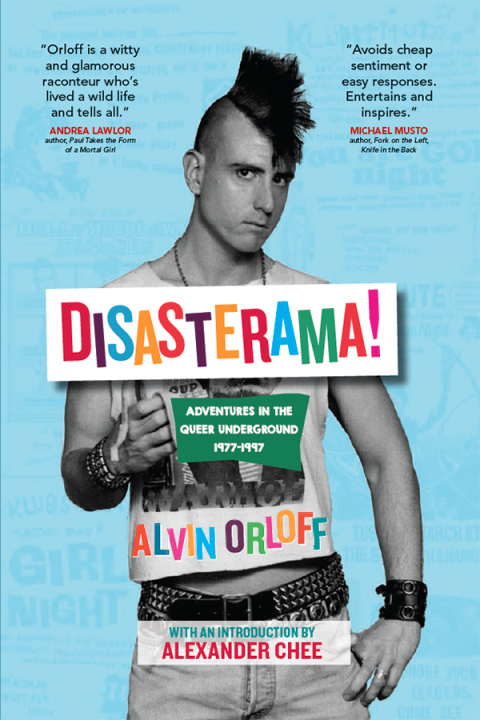 Cover image for book Disasterama!