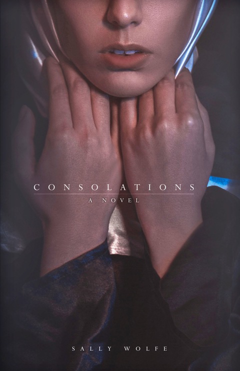 Cover image for book Consolations: A Novel